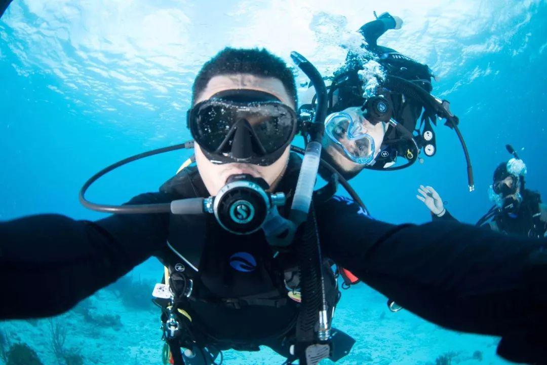 怎么挑西瓜探寻知识的奇妙之旅